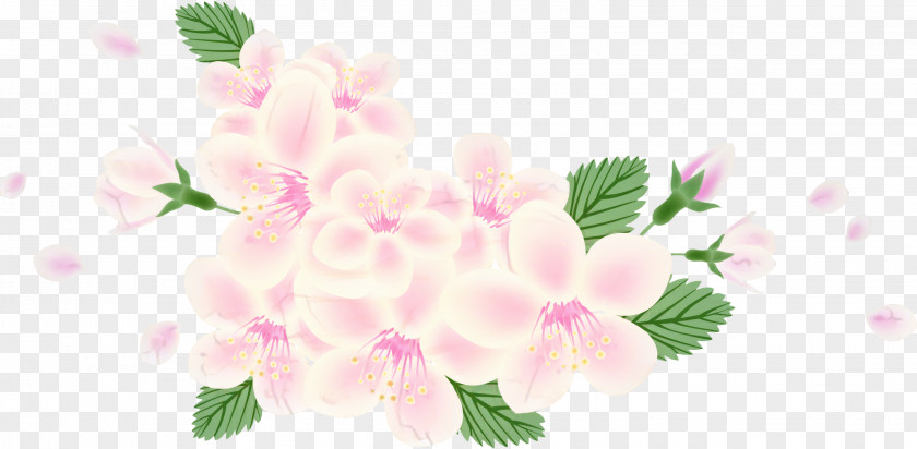 Floral Design Cut Flowers Flower Bouquet Blossom PNG