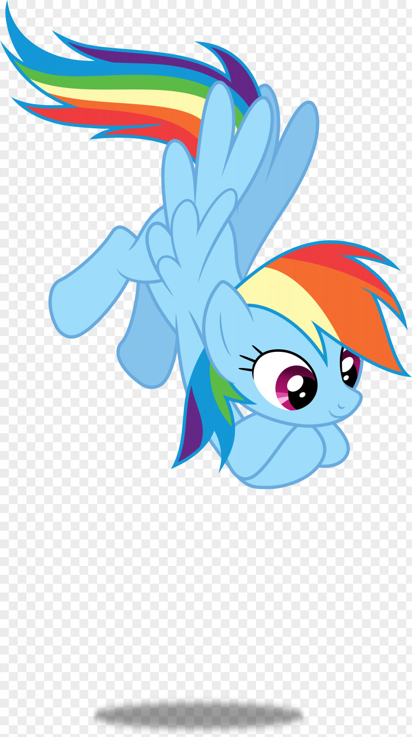 My Little Pony Rainbow Dash Pinkie Pie Twilight Sparkle GIF PNG