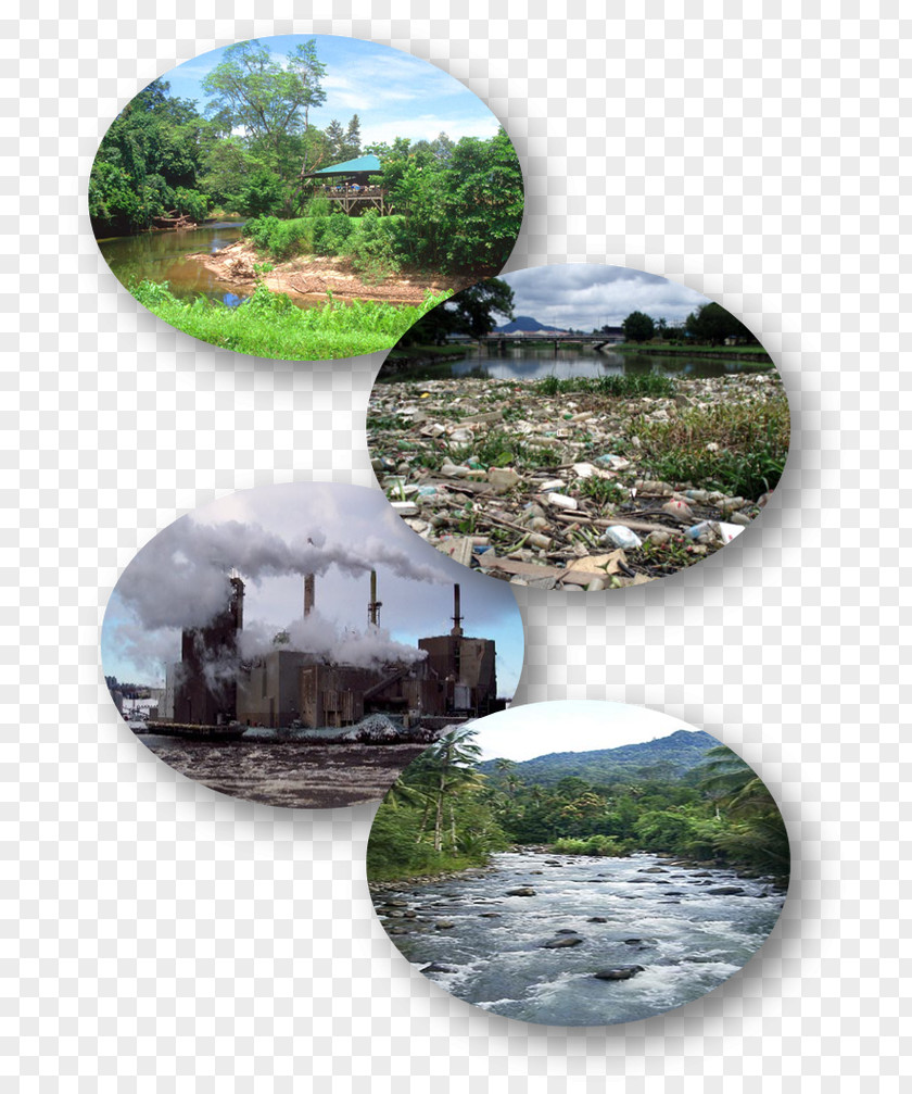 Natural Environment Ecosystem Water Resources Pollution Life PNG