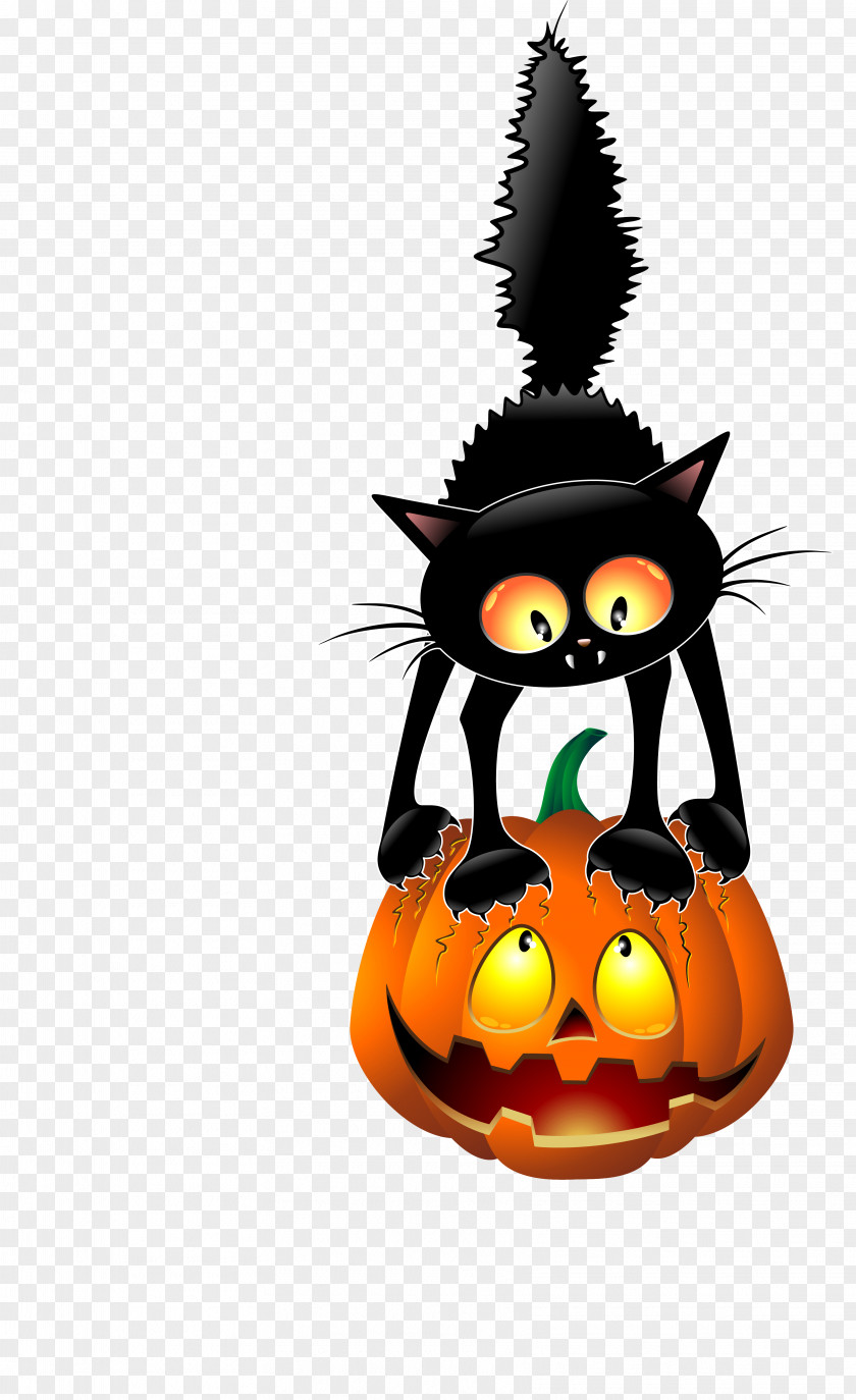 Pumpkin Black Cat Clip Art PNG