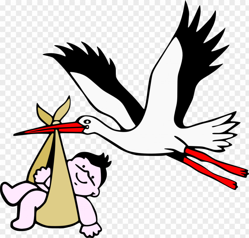Stork Baby Childbirth Pregnancy Infant PNG