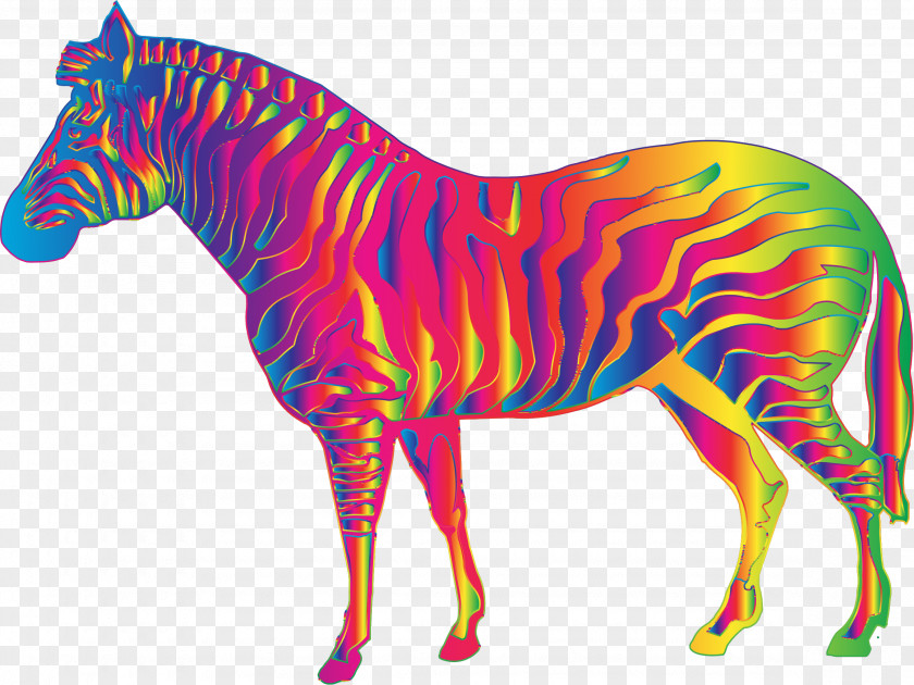 Zebra Themed Mustang Quagga Mane Foal Clip Art PNG