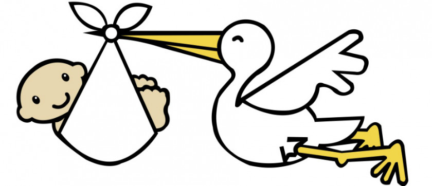 Baby Stork Pictures White Infant Clip Art PNG