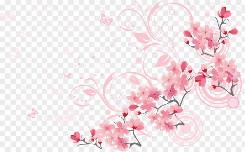 Beautiful Cherry Blossoms Blossom Euclidean Vector PNG