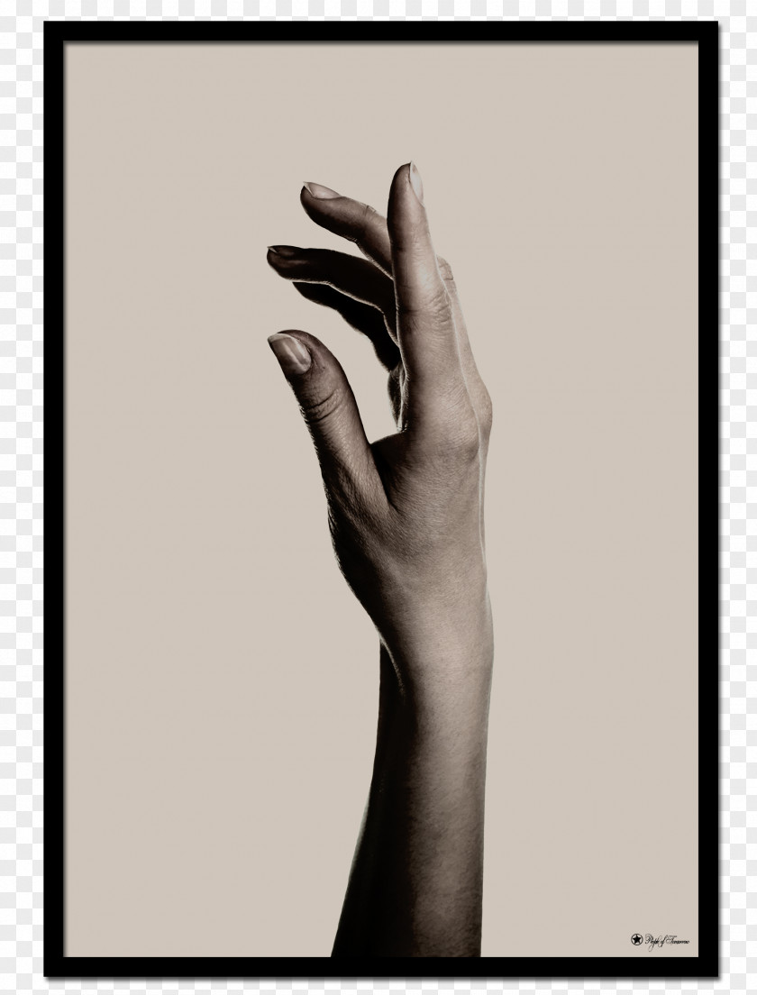 CardArt Thumb Poster Hand Model Text PNG