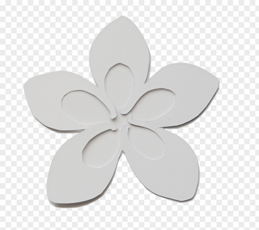 Plumeria Flower Petal PNG