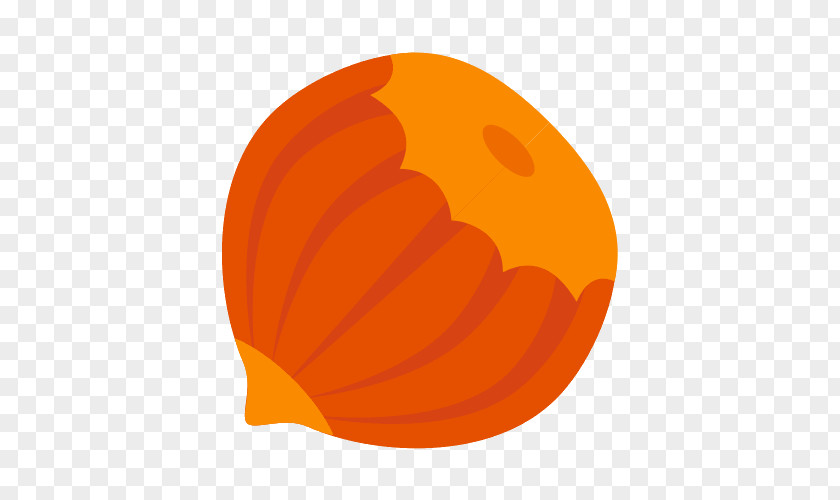 Pumpkin Calabaza Circle Font PNG