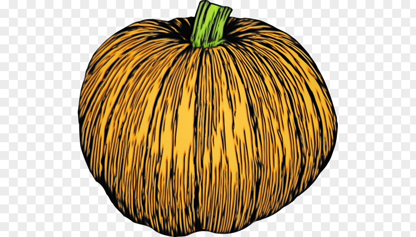 Pumpkin PNG