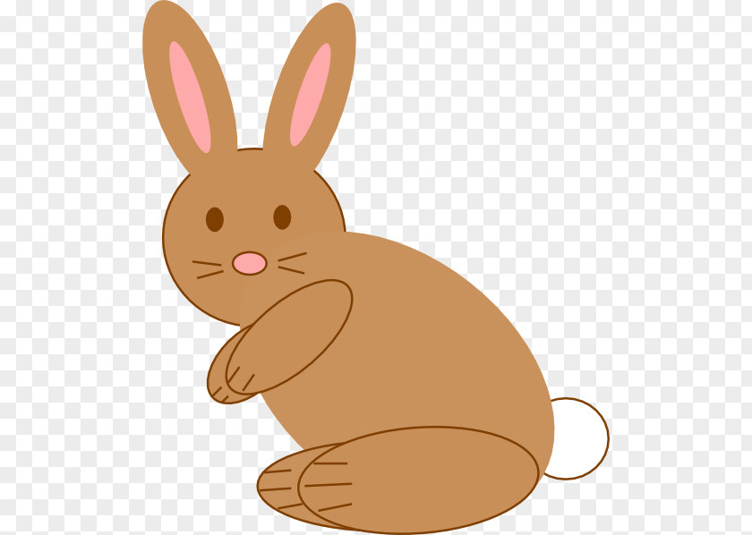 Rabbit Domestic Hare Easter Bunny Pet PNG