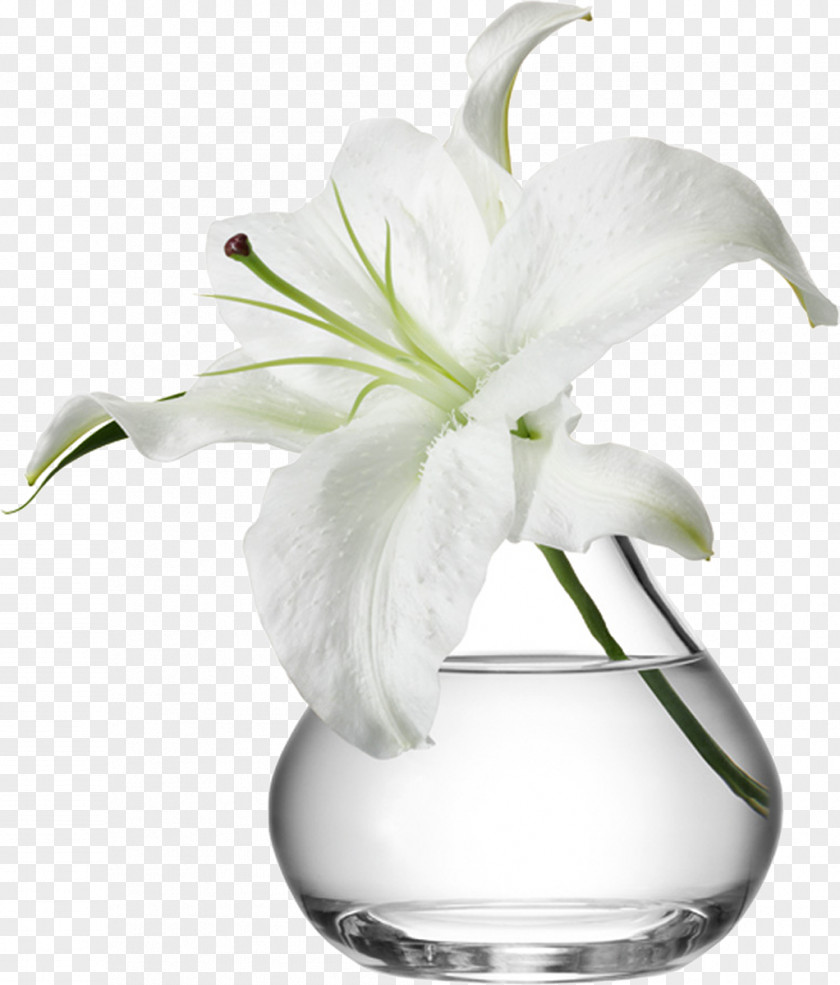 Vase Flowerpot Glass Flower Bouquet PNG