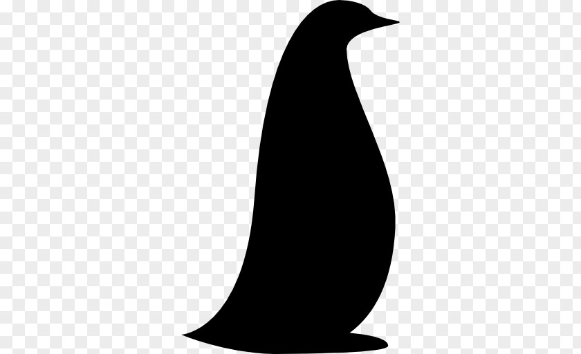 Animal Zoo Penguin Dromedary Bird PNG