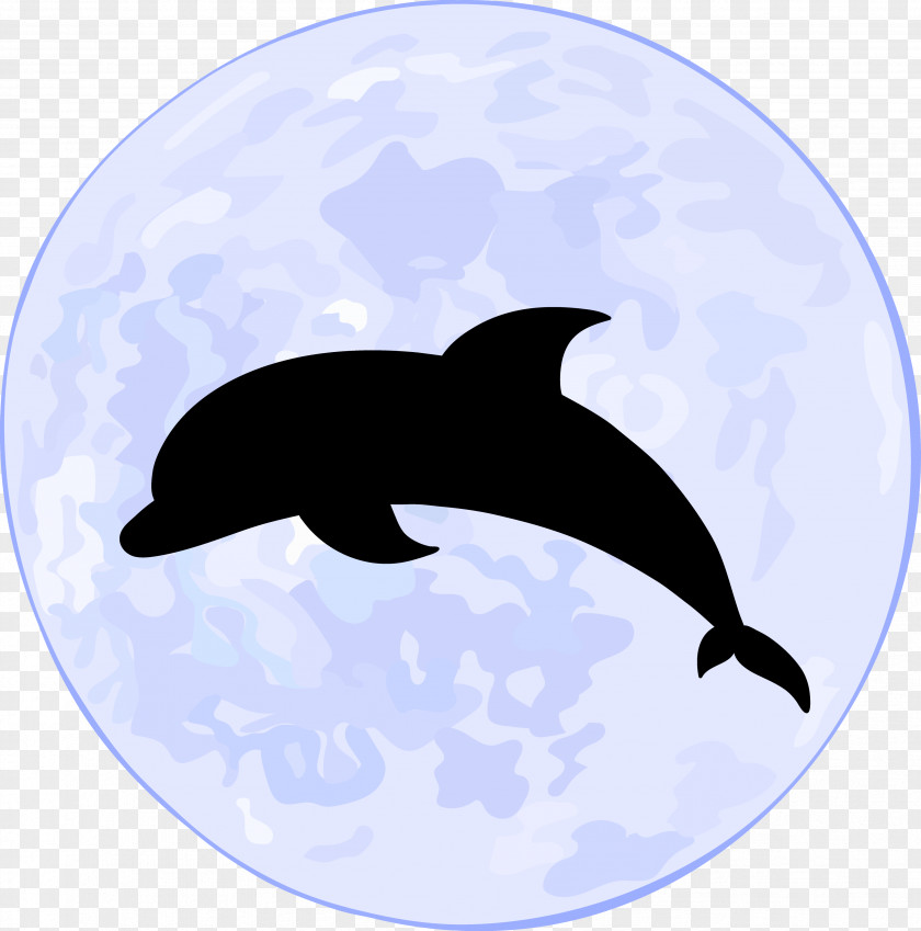 Dolphin Silhouette Moonlight Supermoon Euclidean Vector Oceanic Illustration PNG