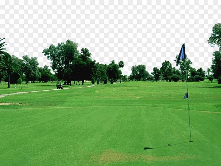 Golf Course Grass Old At St Andrews Jigsaw Puzzle Club PNG