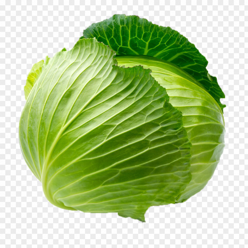 Green Cabbage Vegetable Leaf Blanching PNG