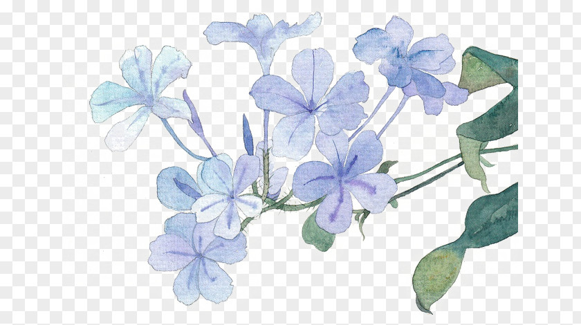 Hand-painted Blue Lilac Flower Icon PNG