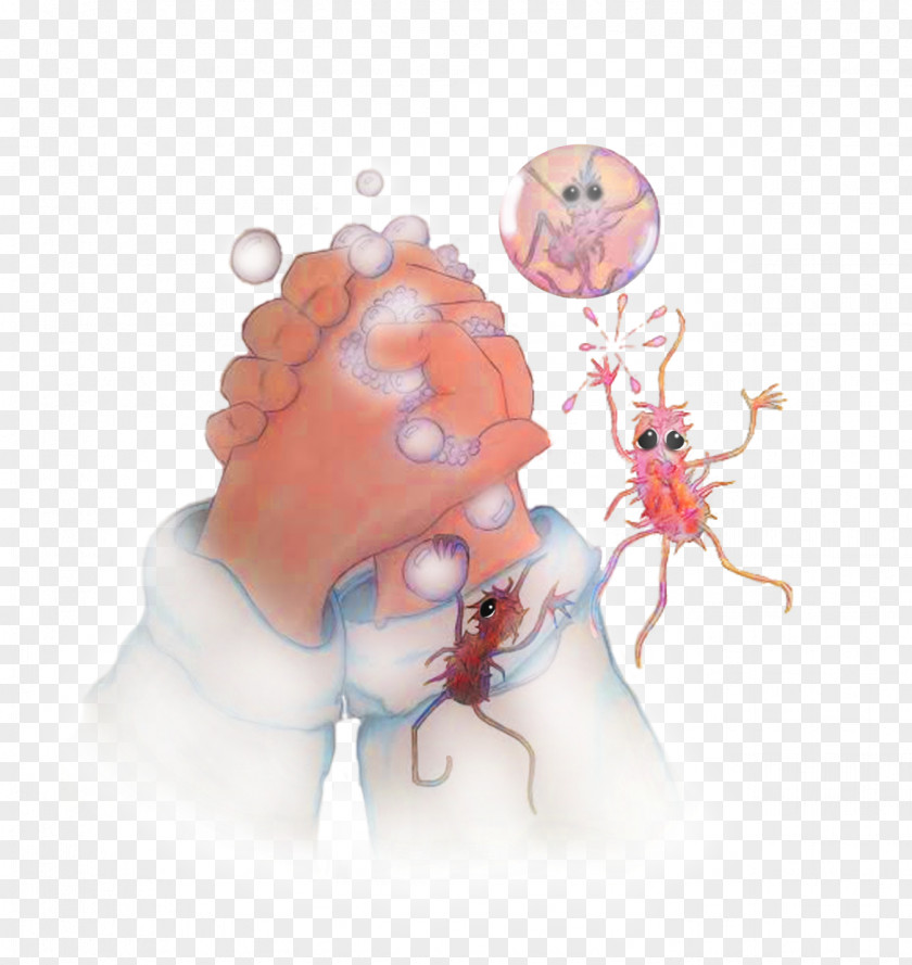 Hand Wash Washing Finger Germ Theory Of Disease PNG