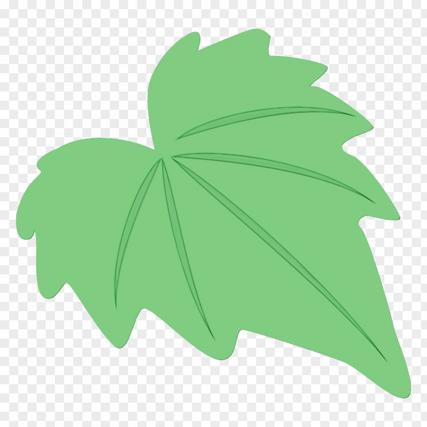 Plane Symbol Maple Leaf PNG