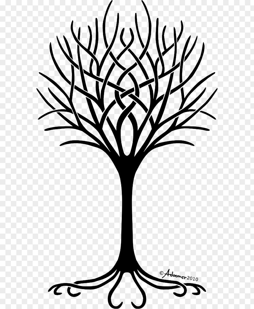 Tree Of Life Clipart Free Content Clip Art PNG