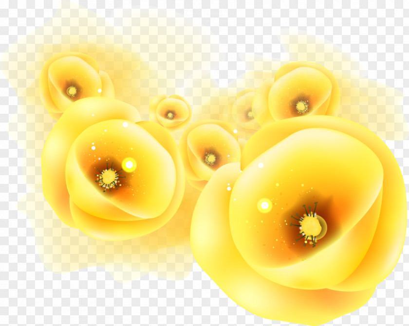 Yellow Photography Clip Art PNG