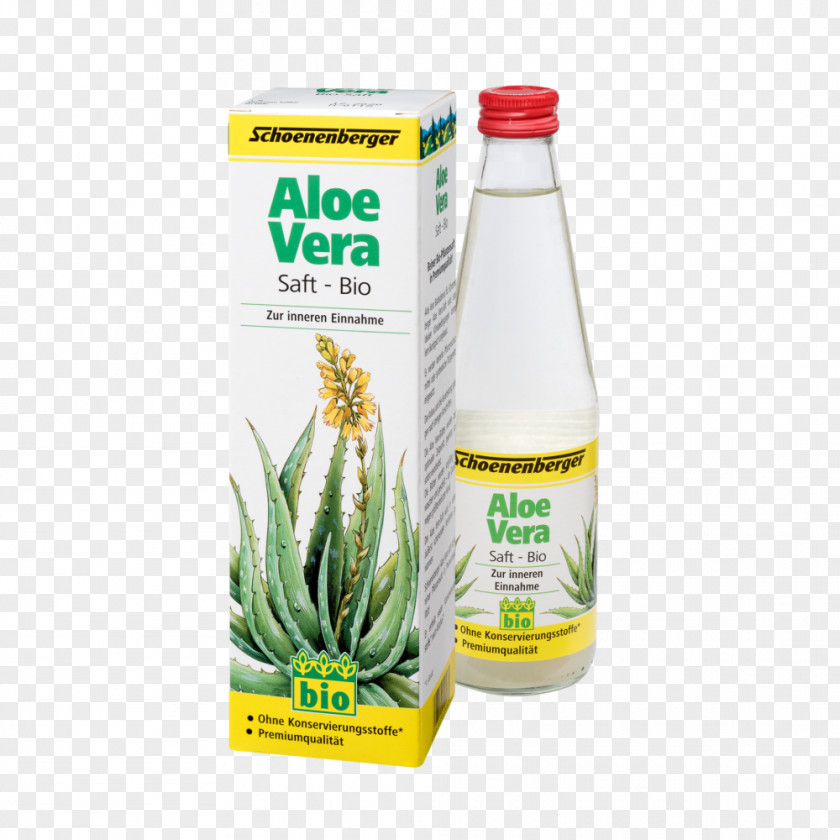 An Aloe Vera Organic Food Tomato Juice Sap PNG