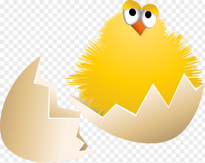 Easter Chick Chicken Drawing PNG