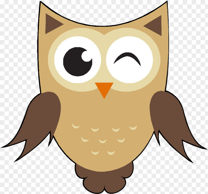 Eule Owl Cartoon Clip Art PNG