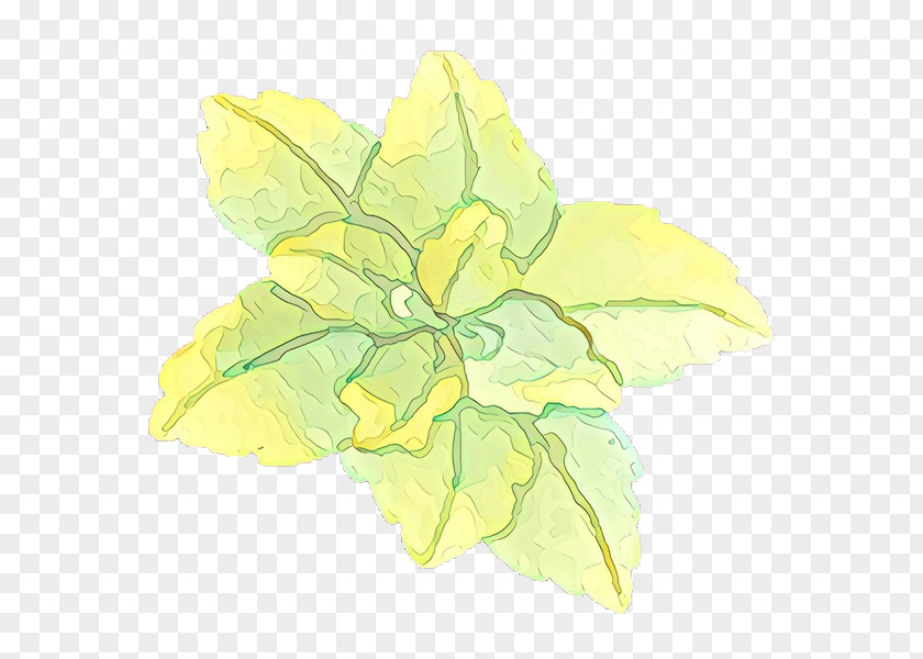 Leaf Yellow Green Flower Plant PNG
