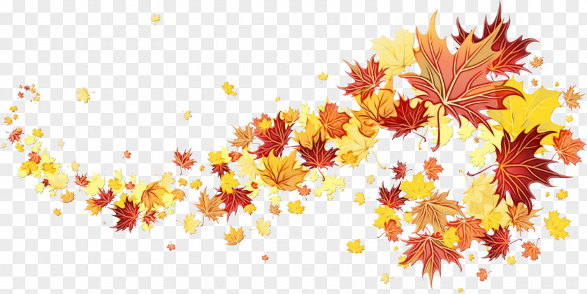 Plane Maple Autumn Leaf Drawing PNG