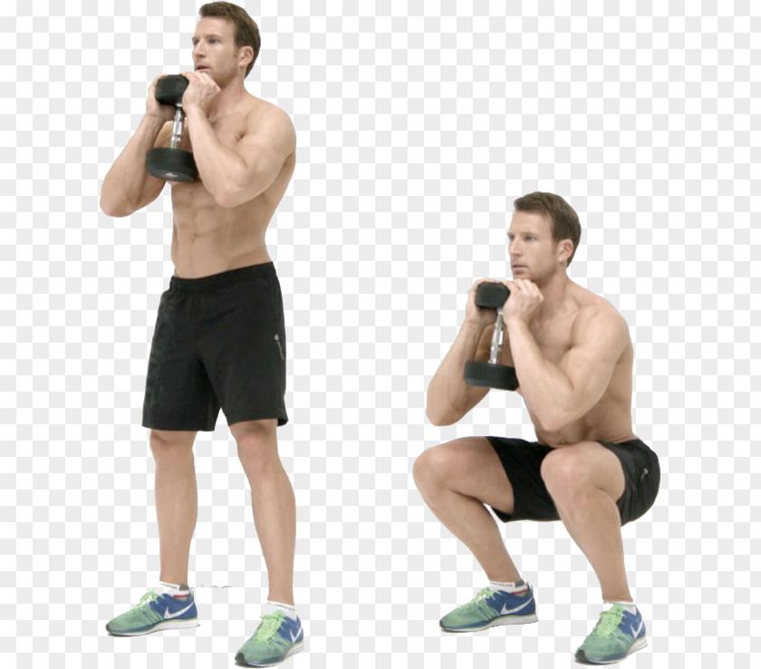The Upper Arm Kettlebell Squat Dumbbell Bench Physical Exercise PNG