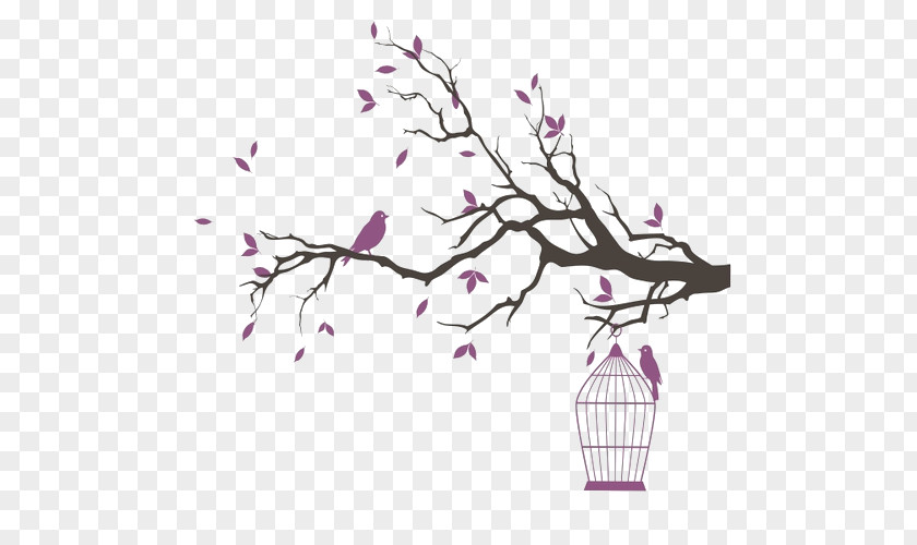 Cartoon Branches Birdcage Drawing PNG