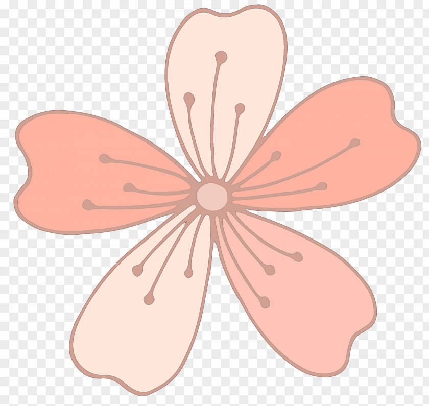 Flower Plant Pink Petal Clip Art Leaf PNG