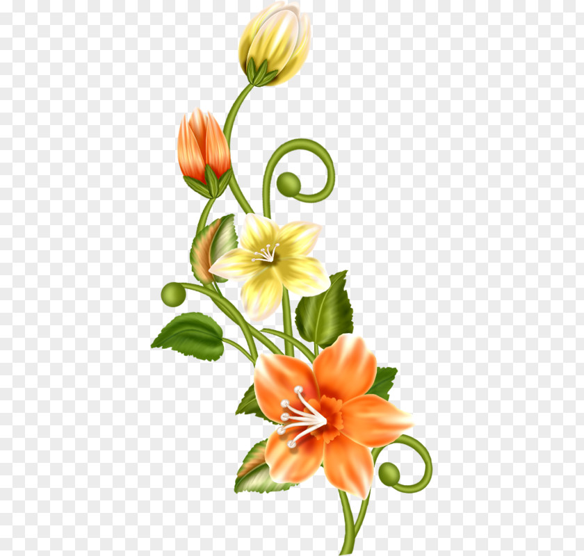 Fool Around Floral Design Cut Flowers Flower Bouquet Image PNG