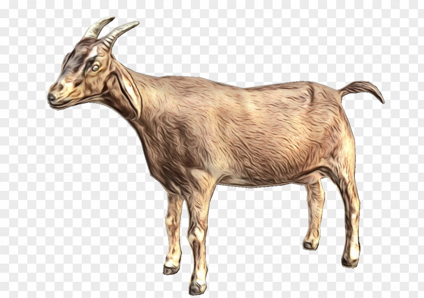 Goat Clip Art Vector Graphics Image PNG
