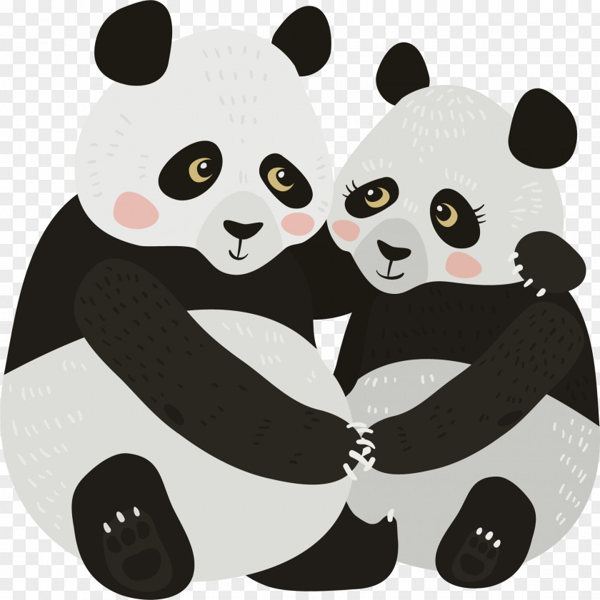 Panda Vector Giant Euclidean Drawing Illustration PNG