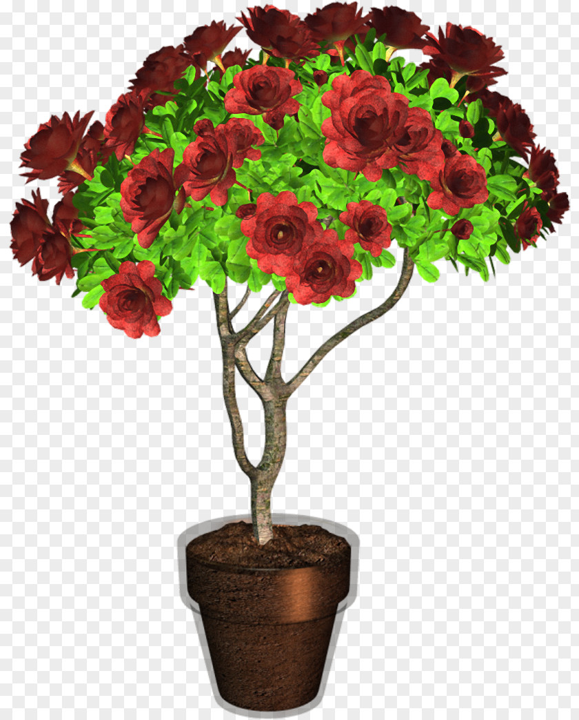 Plant Flowerpot PNG