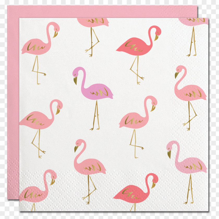Plate Cloth Napkins Towel Table Flamingo PNG