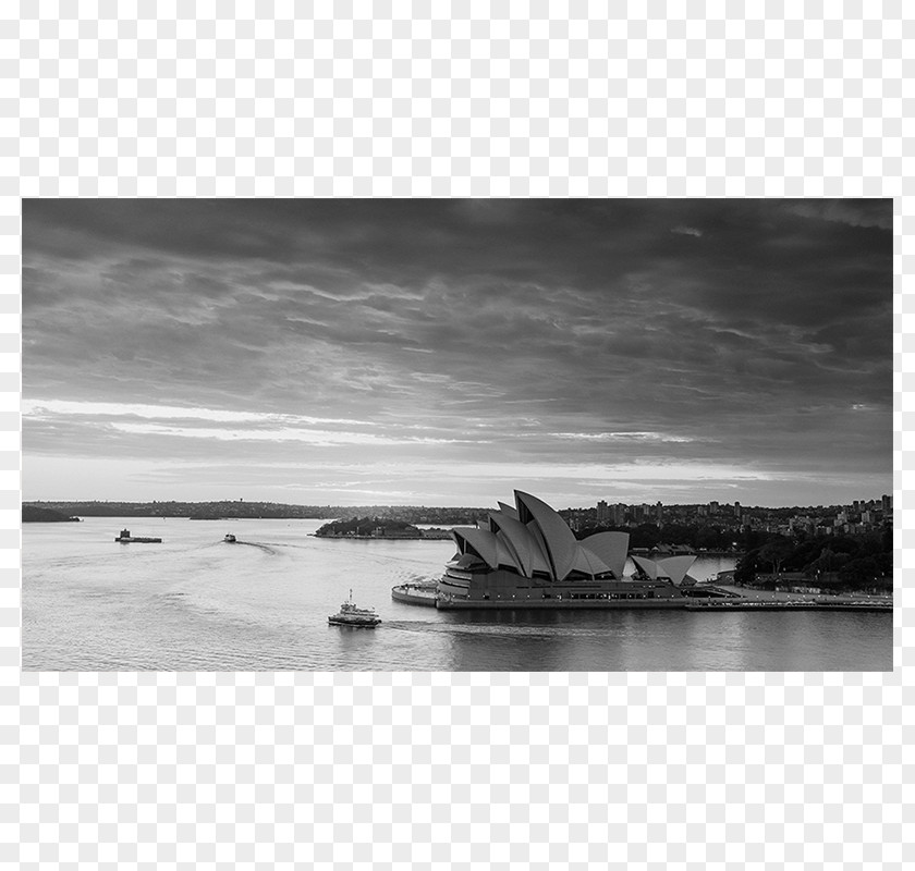 Sydney Opera House Drawing Black And White Port Jackson Circular Quay Photography PNG