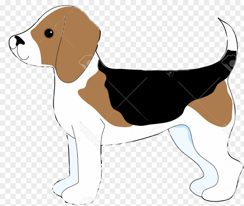 Beagle Dog English Foxhound American Harrier Treeing Walker Coonhound PNG