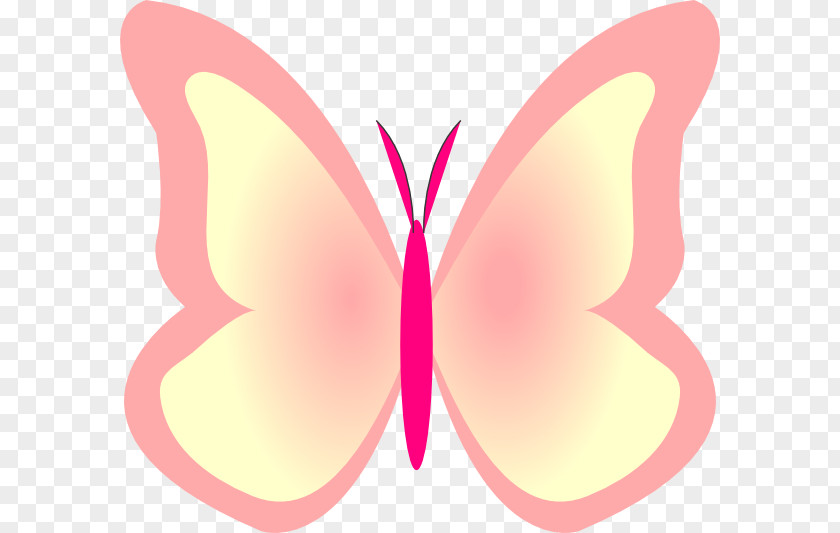 Bright Butterfly Insect Pollinator Clip Art PNG