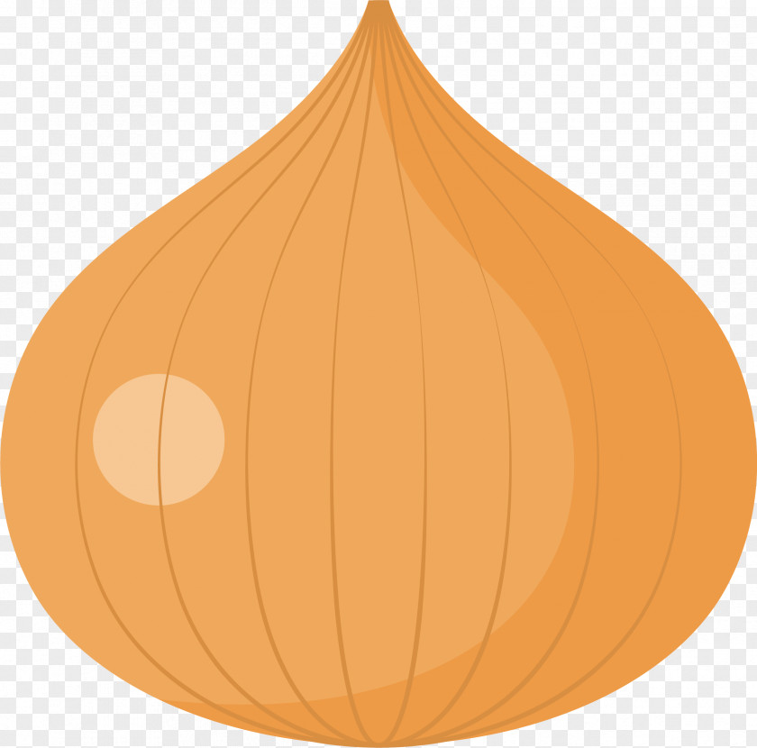 Cartoon Onion Calabaza Pumpkin Pattern PNG