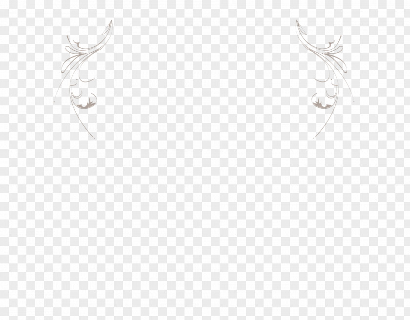 Feather Drawing White Line Art PNG
