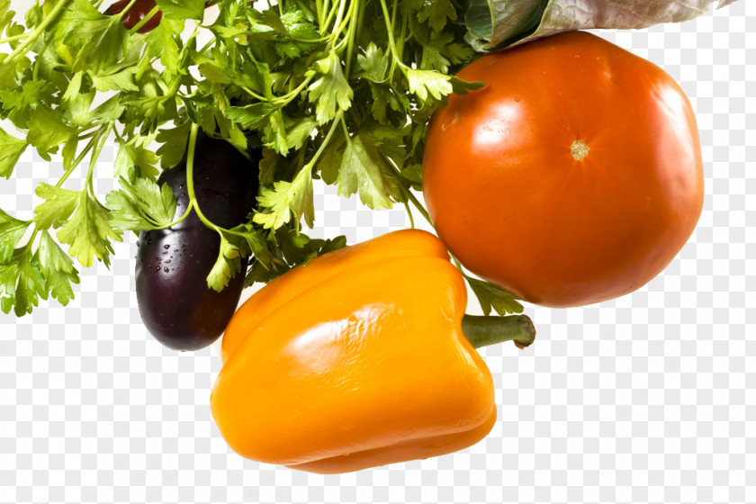 Fresh Vegetables Tomato Bell Pepper Salsa Food Eggplant PNG