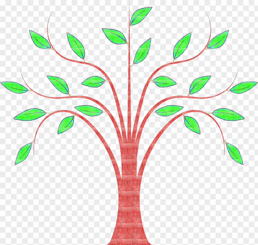 Leaf Plant Tree Stem Branch PNG