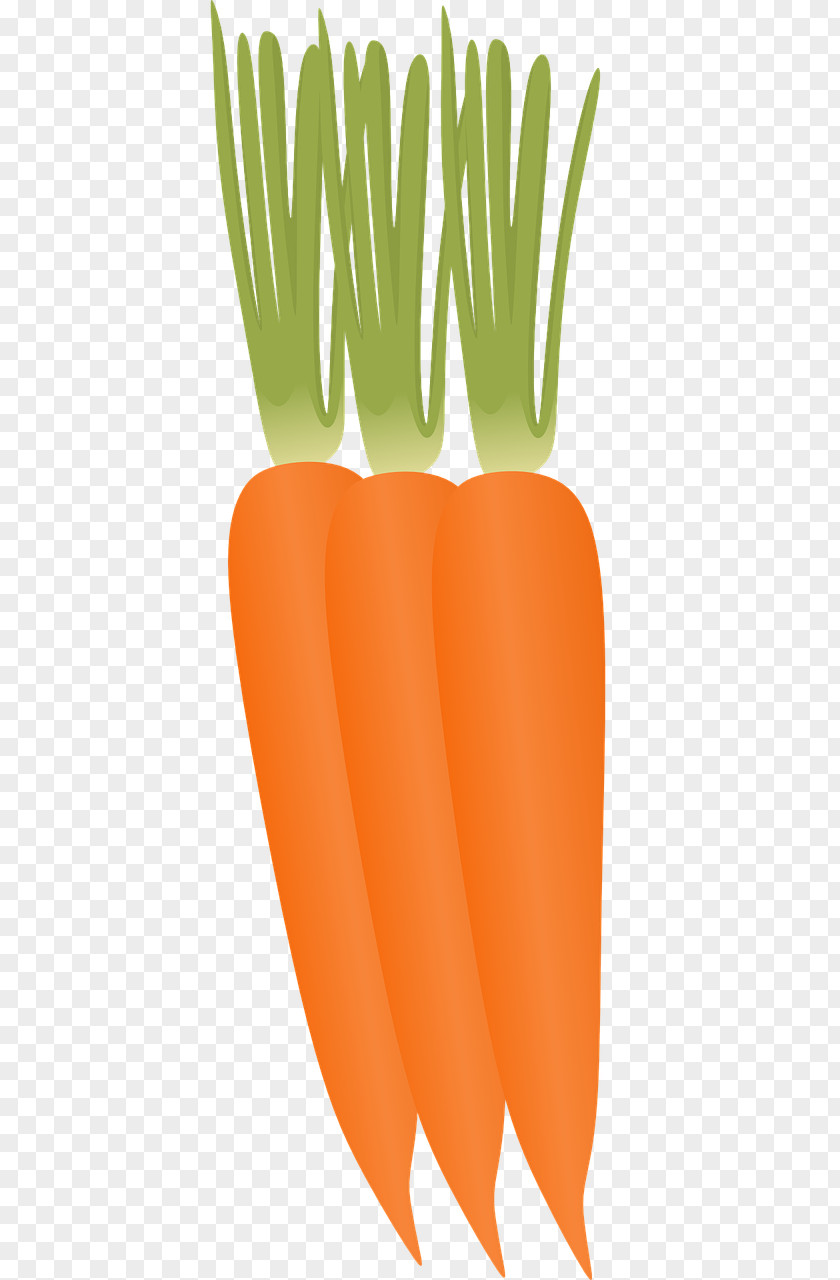 Remedies Baby Carrot Vegetable Food PNG