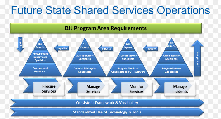 Florida Department Of Juvenile Justice Shared Services Center Organizational Structure Synonym PNG