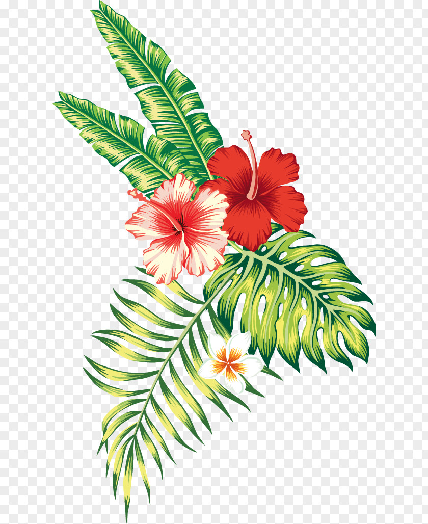 Mix Flowers Tropics Tropical Climate Flower PNG