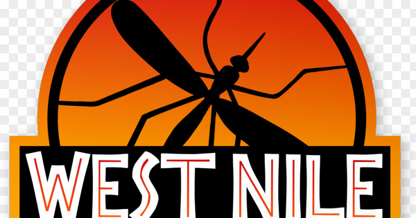 Mosquito West Nile Virus Fever Zika Disease PNG