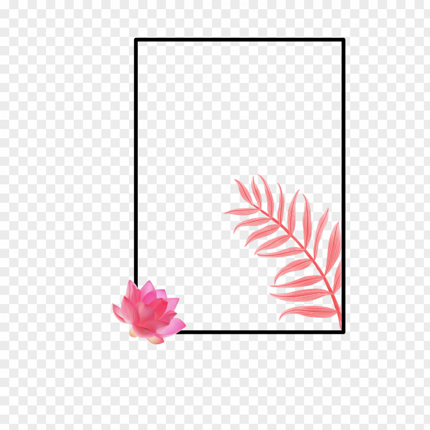 Pink Leaf Gerbera Plant Flower PNG