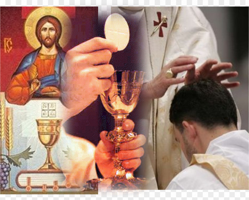 Priest Holy Orders Sacraments Of The Catholic Church Eucharist PNG