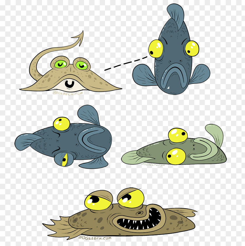 Stingray Fish Flounder Flatfish Evolution Of The Eye Animal PNG